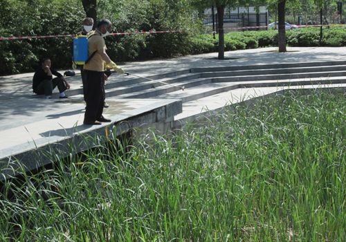 鄭州蓮湖濕地改建工程示范項目